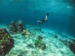 Unique Travel Experiences, https://www.thetravelaworld.com/2023/09/19/unique-travel-experiences-broadening-horizons-and-creating-memories/Transform Your Wanderlust into Unforgettable Unique Travel Experiences,