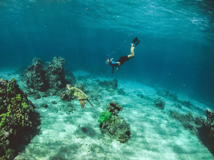Diving into Diverse Unique Travel Experiences, https://www.thetravelaworld.com/2023/09/19/unique-travel-experiences-broadening-horizons-and-creating-memories/Transform Your Wanderlust into Unforgettable Unique Travel Experiences,