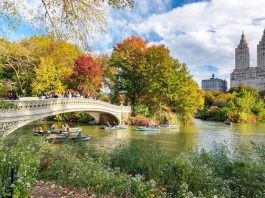 Fall Travel Destinations East Coast,The Travel A World,thetravelaworld.com