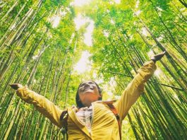 Travellers Culture, The Travel A World, thetravelaworld.com