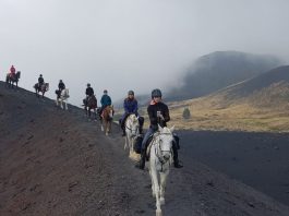 Travelling And Culture, The Travel A World, thetravelaworld.com