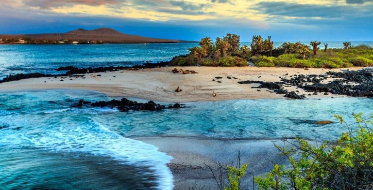 Exploring the Enchantment :  Galapagos Cruises in 2024