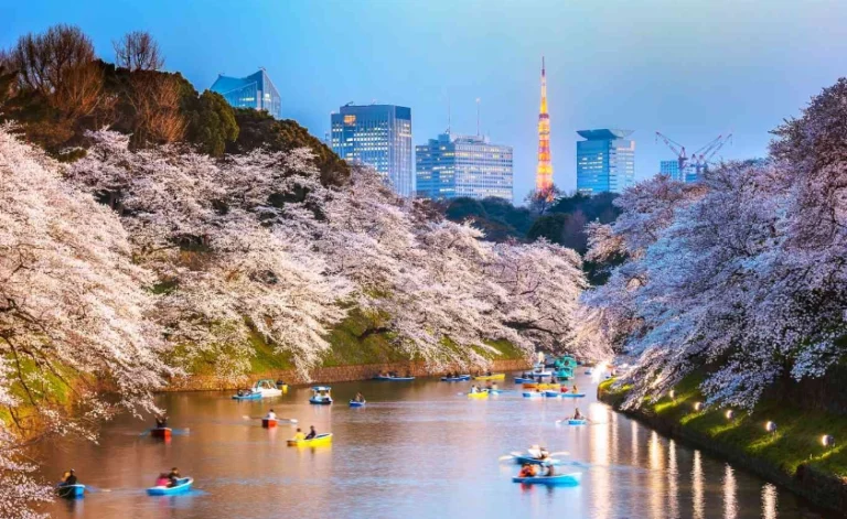 Unveiling best Japan holiday packages 2024: A Comprehensive Guide to Choosing the Perfect Holiday Package